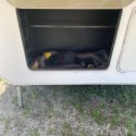 2010 KEYSTONE MONTANA 3665RE
