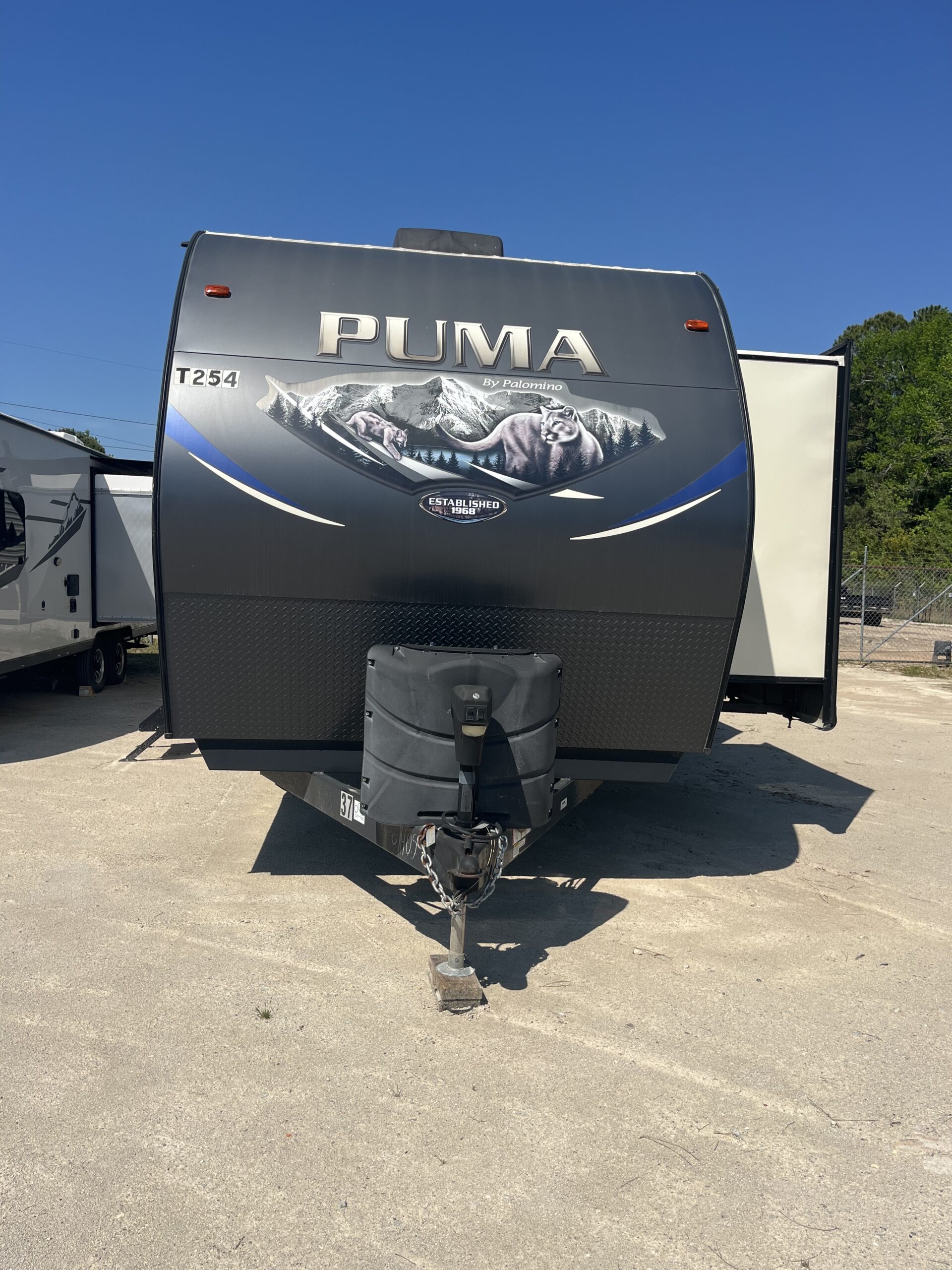 You are currently viewing PALOMINO PUMA